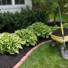 Business 11 image HAWK VALLEY LANDSCAPING Shrub Trimming in Orlando FL