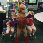 Business 1 image HEALING PAWS ANIMAL THERAPY - SUPER DOG MAX in Palm Harbor FL