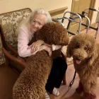 Business 5 image HEALING PAWS ANIMAL THERAPY - SUPER DOG MAX in Palm Harbor FL