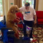 Business 7 image HEALING PAWS ANIMAL THERAPY - SUPER DOG MAX in Palm Harbor FL