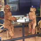 Business 9 image HEALING PAWS ANIMAL THERAPY - SUPER DOG MAX in Palm Harbor FL