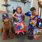 Business 10 image HEALING PAWS ANIMAL THERAPY - SUPER DOG MAX in Palm Harbor FL