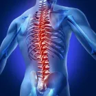 Business 2 image HEALTHPOINT CHIROPRACTOR Reflexologists in Fort Lauderdale FL
