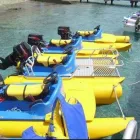 Business 12 image HIGGS HYDROGRAPHIC TEK Surveyors in Tampa FL