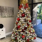 Business 4 image HILL VALLEY SUITES Virtual Office Rental in Tampa FL