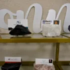 Business 8 image HILL VALLEY SUITES Virtual Office Rental in Tampa FL