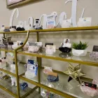 Business 10 image HILL VALLEY SUITES Virtual Office Rental in Tampa FL