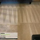 Business 1 image HIPPO CARPET CLEANING MIAMI BEACH Carpet Cleaning in Miami Beach FL