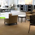 Business 2 image HIPPO CARPET CLEANING MIAMI BEACH Carpet Cleaning in Miami Beach FL