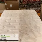 Business 4 image HIPPO CARPET CLEANING MIAMI BEACH Carpet Cleaning in Miami Beach FL