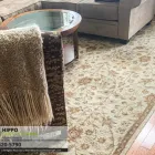 Business 7 image HIPPO CARPET CLEANING MIAMI BEACH Carpet Cleaning in Miami Beach FL