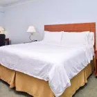 Business 29 image HOLIDAY INN EXPRESS TAMPA N I-75 - UNIVERSITY AREA, AN IHG HOTEL Wedding Venue in Tampa FL