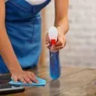 Business 2 image HOLLIS & TASHA CLEANING SERVICES Cleaning Services in Buffalo NY