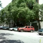 Business 1 image HOLLY WOOD & VINE Landscaping & Lawn Services in New York NY