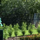 Business 45 image HOME2 SUITES BY HILTON ORLANDO AIRPORT in Orlando FL