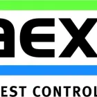 Business 3 image HOMETEAM PEST DEFENSE Tubes in walls in Orlando FL