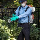 Business 10 image HOMETEAM PEST DEFENSE Tubes in walls in Orlando FL