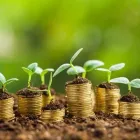 Business 1 image HONEY RESOURCES Computer Technical Assistance & Support Services in San Diego County CA