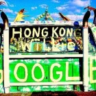 Business 1 image HONGKONGWILLIE WORM FARM in Tampa FL