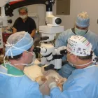 Business 3 image HOWITT, EYE CARE Physicians & Surgeons, Ophthalmology in North Miami FL