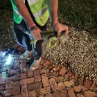 Business 2 image HUMANE IGUANA CONTROL Pest Control Services in Miami FL