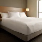Business 2 image HYATT FORT LAUDERDALE Hotel in Fort Lauderdale FL