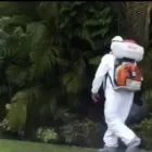 Business 2 image IDEAL PEST CONTROL, INC. Pest Control Services in Miami FL