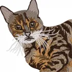 Business 2 image IMPACT DIGITIZING Graphic Designers in Los Angeles CA