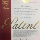 Business 4 image IMPLANTS WITHOUT SCREWS Implant Dentistry in Tampaa FL