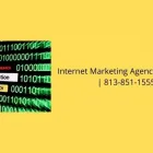 Business 1 image INTERNET MARKETING AGENCY TAMPA FL Local SEO and Citation Building in Tampa FL