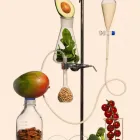 Business 3 image IV VITAMIN THERAPY Chiropractors in New York NY