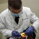 Business 1 image IVANOV ORTHODONTIC EXPERTS in North Miami FL