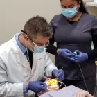 Business 4 image IVANOV ORTHODONTIC EXPERTS in North Miami FL