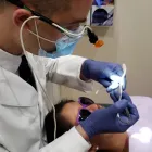 Business 5 image IVANOV ORTHODONTIC EXPERTS in North Miami FL