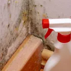 Business 2 image JAMAICA HILL MOLD INSPECTION CO State Inspections in Lauderhill FL