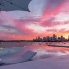 Business 1 image JATINA GROUP Yacht Rental in Miami FL