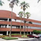 Business 1 image JERSEY COLLEGE NURSING SCHOOL TAMPA CAMPUS Schools in Tampa FL