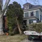 Business 1 image JK TREE EXPERTS, LLC Tree Removal Service in Buffalo NY