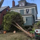 Business 4 image JK TREE EXPERTS, LLC Tree Removal Service in Buffalo NY