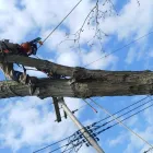 Business 7 image JK TREE EXPERTS, LLC Tree Removal Service in Buffalo NY