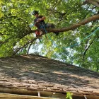Business 8 image JK TREE EXPERTS, LLC Tree Removal Service in Buffalo NY
