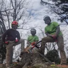 Business 11 image JK TREE EXPERTS, LLC Tree Removal Service in Buffalo NY