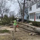 Business 13 image JK TREE EXPERTS, LLC Tree Removal Service in Buffalo NY