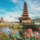 Business 1 image JOANNE DAVIS-HOWARD - CRUISE PLANNERS Vacation Packages in Lake Mary FL