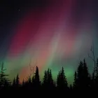 Business 3 image JOANNE DAVIS-HOWARD - CRUISE PLANNERS Vacation Packages in Lake Mary FL