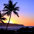 Business 4 image JOANNE DAVIS-HOWARD - CRUISE PLANNERS Vacation Packages in Lake Mary FL