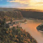 Business 20 image JOANNE DAVIS-HOWARD - CRUISE PLANNERS Vacation Packages in Lake Mary FL