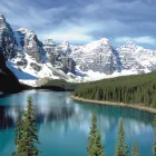 Business 28 image JOANNE DAVIS-HOWARD - CRUISE PLANNERS Vacation Packages in Lake Mary FL