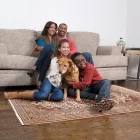 Business 2 image JOE DIMEO CHEM-DRY Upholstery Cleaning Service in Palm Harbor FL