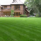 Business 1 image JOHN IDEAL LAWN AND LANDSCAPES TAMPA Lawn Mowers in Tampa FL